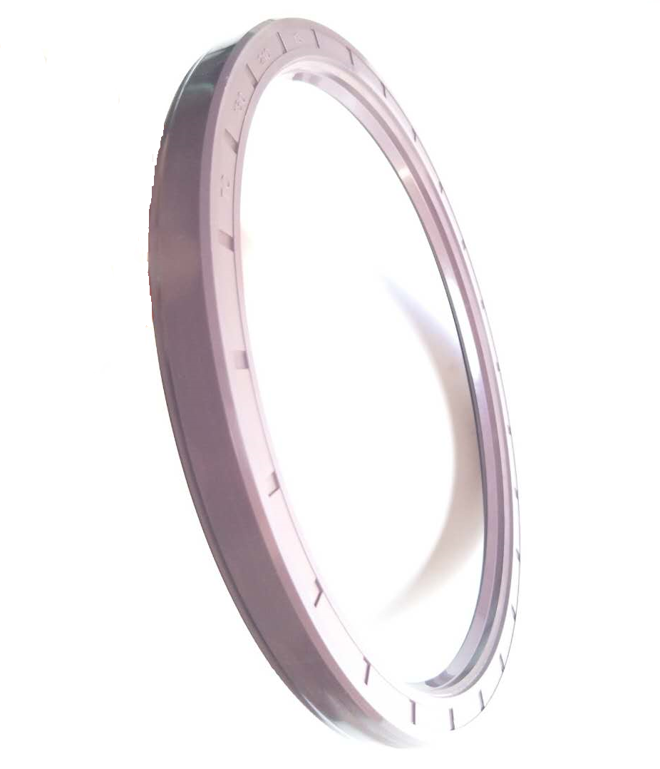 國(guó)標(biāo)TC氟膠骨架油封系列